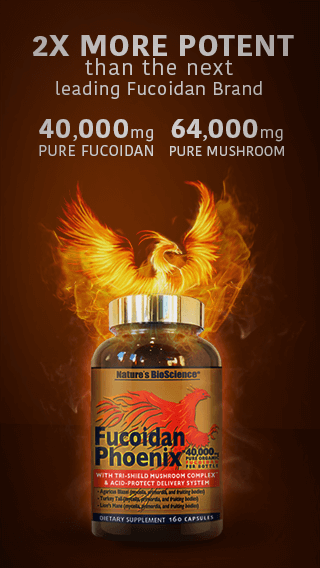 Fucoidan Phoenix benefits 2x more potent than the next leading fucoidan brand
