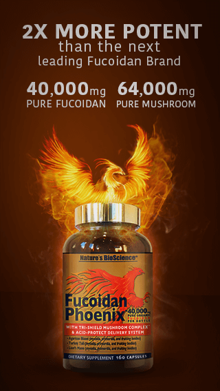 Fucoidan Phoenix benefits 2x more potent than the next leading fucoidan brand 